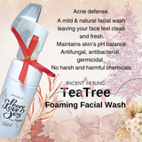 Tea Tree Facial Foam Wash Christmas Package 2025