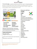 Oregano Tincture for Kids in Glycerin 15ml